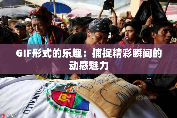 GIF形式的乐趣：捕捉精彩瞬间的动感魅力