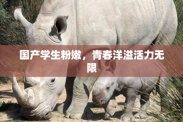 国产学生粉嫩，青春洋溢活力无限