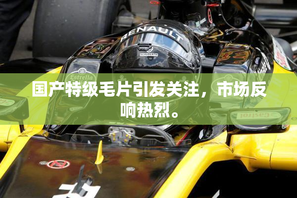 国产特级毛片引发关注，市场反响热烈。