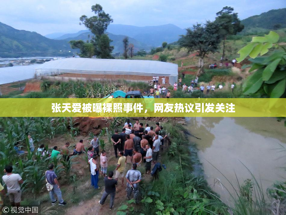 张天爱被曝裸照事件，网友热议引发关注