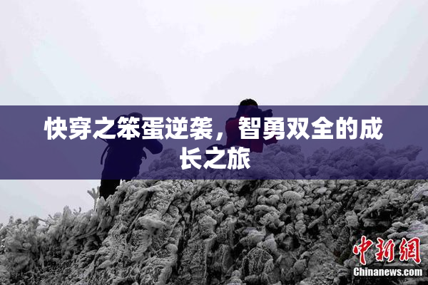 快穿之笨蛋逆袭，智勇双全的成长之旅