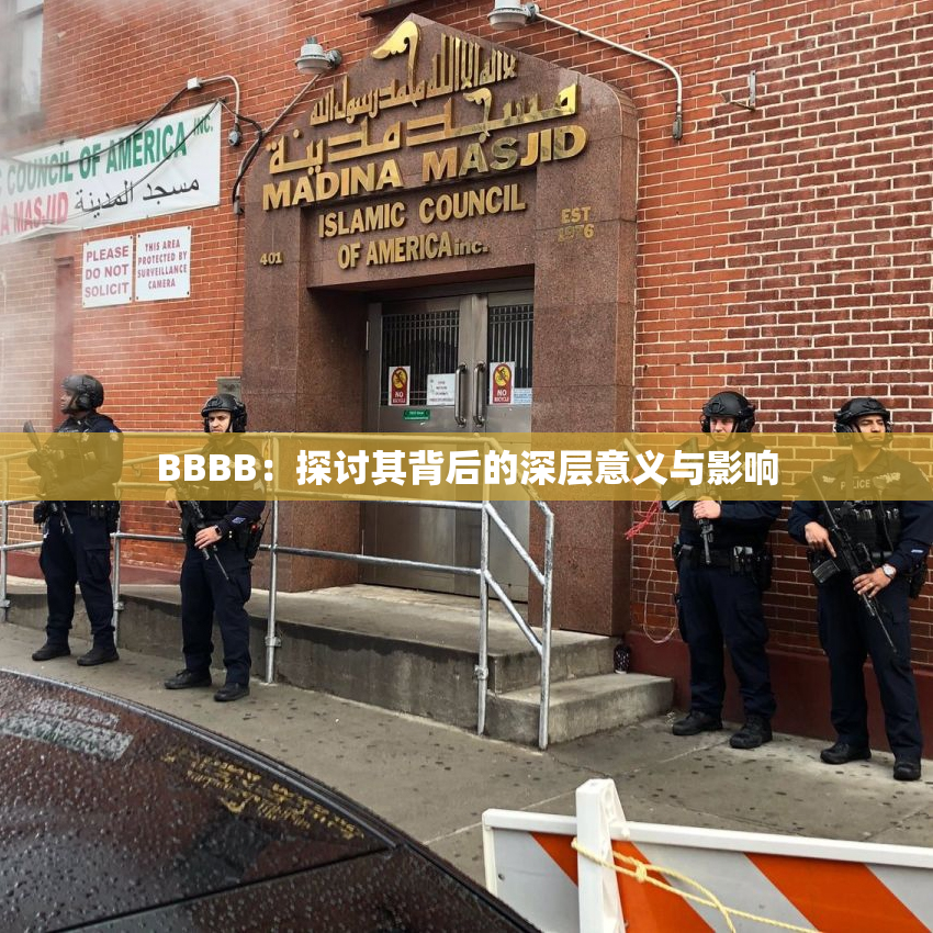 BBBB：探讨其背后的深层意义与影响