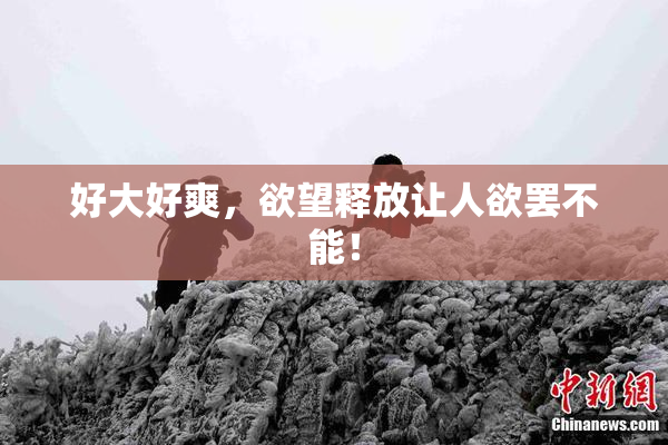好大好爽，欲望释放让人欲罢不能！