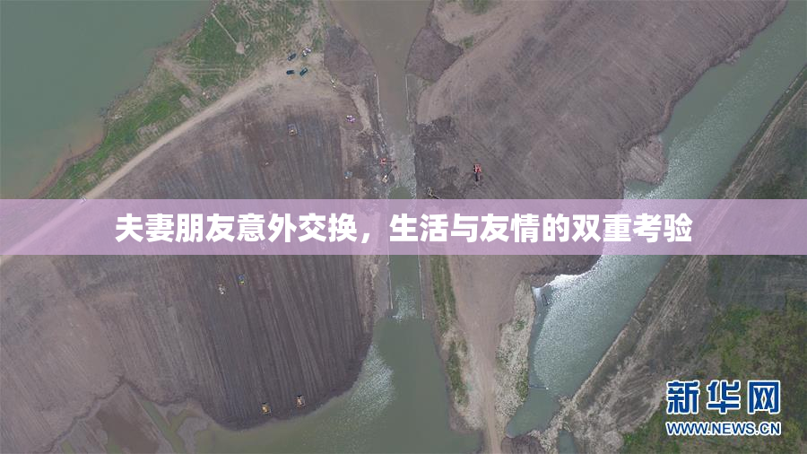 夫妻朋友意外交换，生活与友情的双重考验