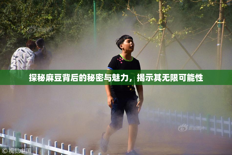 探秘麻豆背后的秘密与魅力，揭示其无限可能性