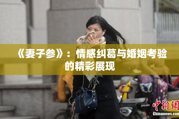 《妻子参》：情感纠葛与婚姻考验的精彩展现