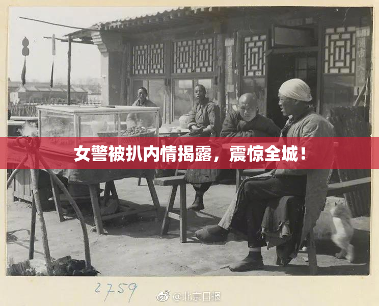 女警被扒内情揭露，震惊全城！