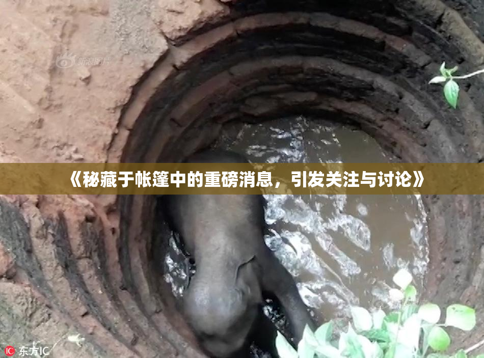 《秘藏于帐篷中的重磅消息，引发关注与讨论》