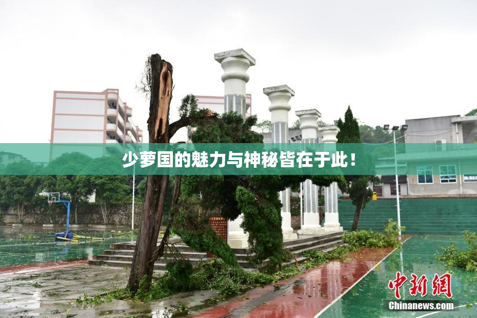 少萝国的魅力与神秘皆在于此！