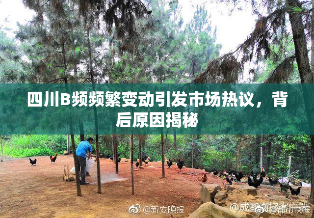 四川B频频繁变动引发市场热议，背后原因揭秘