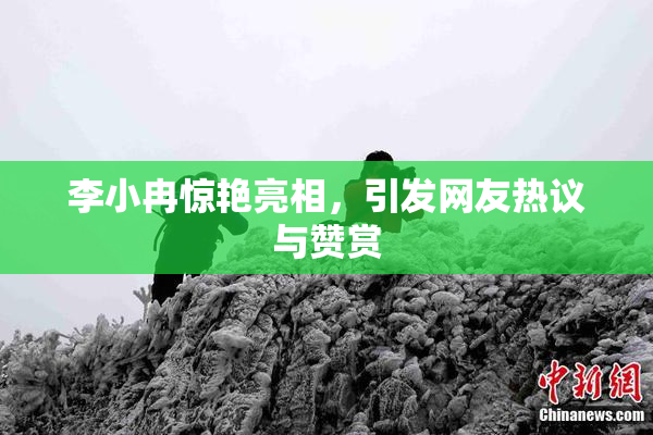 李小冉惊艳亮相，引发网友热议与赞赏