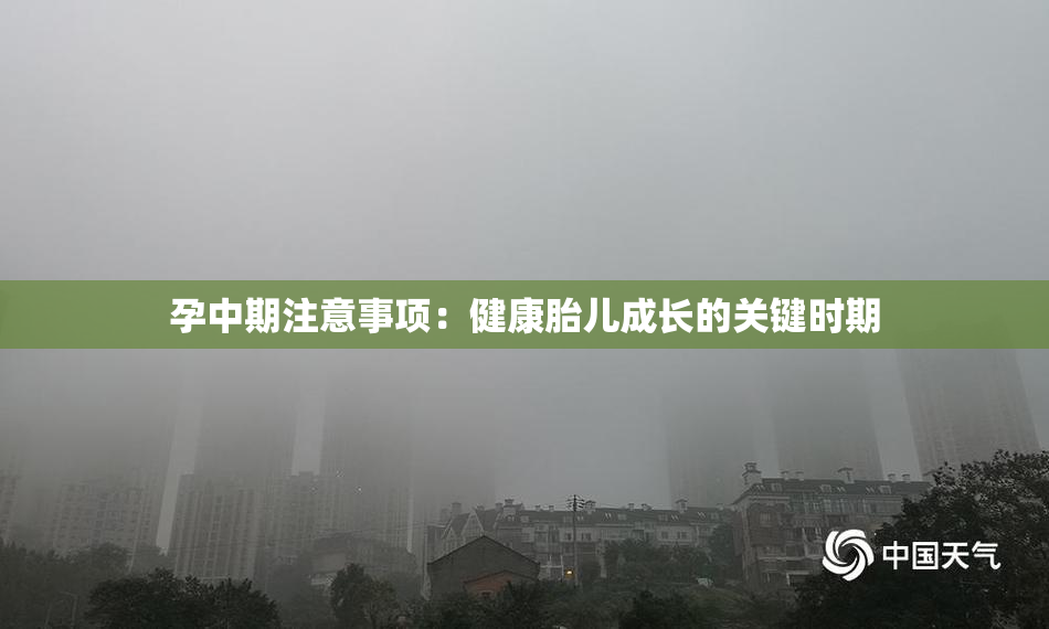 孕中期注意事项：健康胎儿成长的关键时期