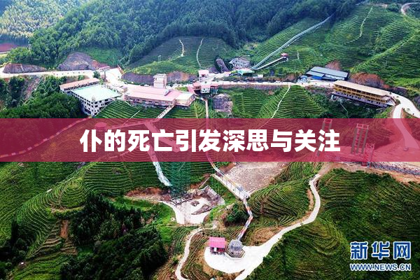 仆的死亡引发深思与关注