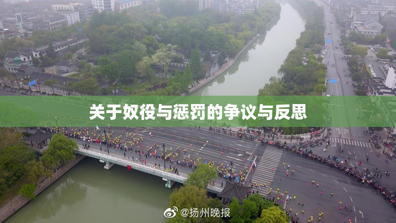 关于奴役与惩罚的争议与反思