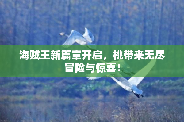 海贼王新篇章开启，桃带来无尽冒险与惊喜！