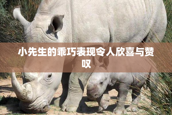 小先生的乖巧表现令人欣喜与赞叹