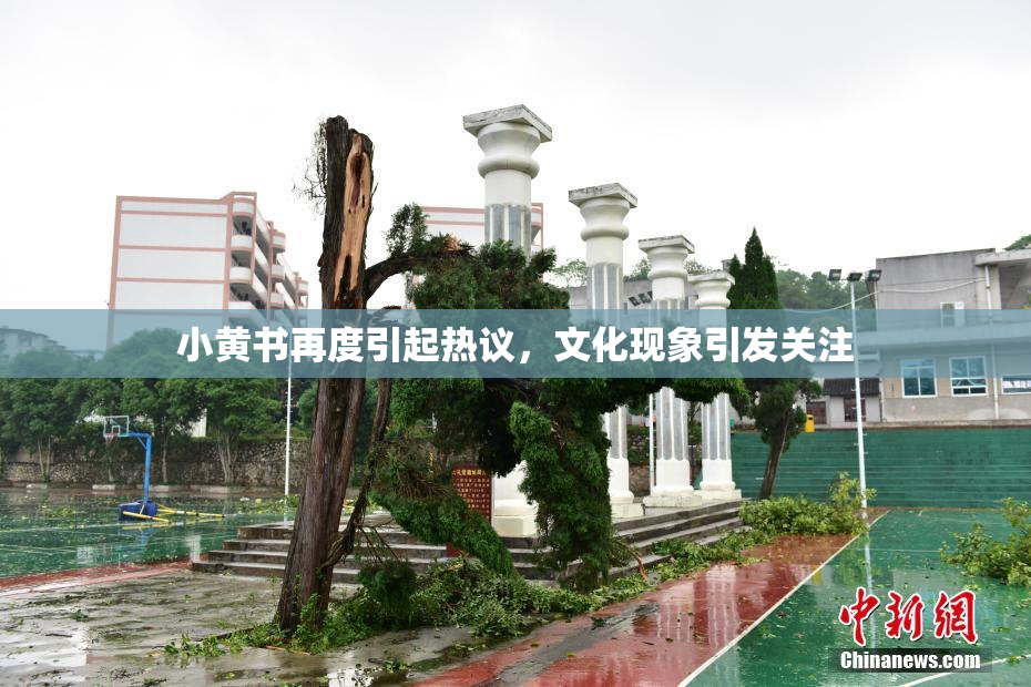 小黄书再度引起热议，文化现象引发关注