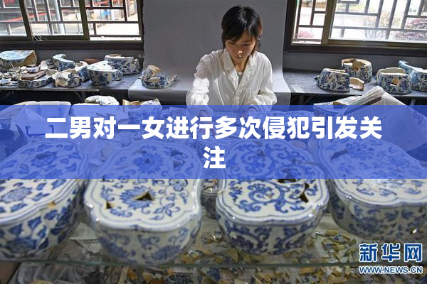 二男对一女进行多次侵犯引发关注