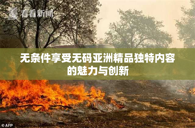 无条件享受无码亚洲精品独特内容的魅力与创新