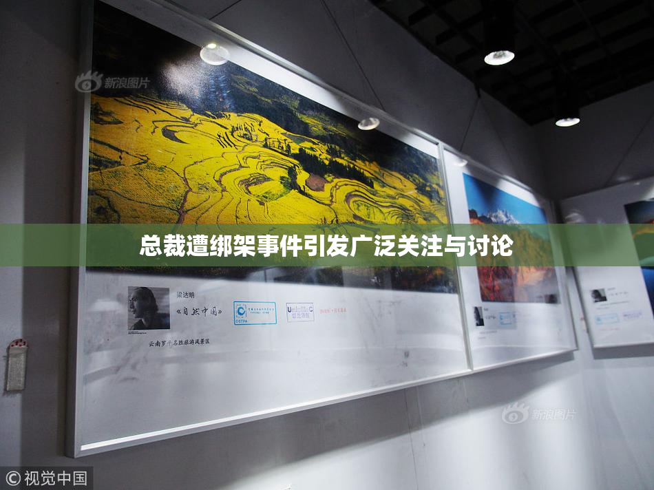 总裁遭绑架事件引发广泛关注与讨论