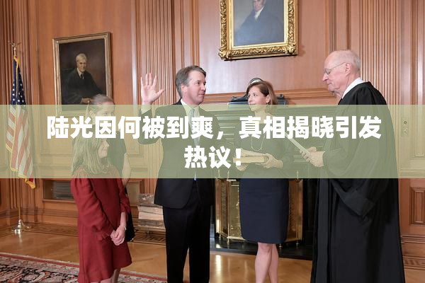 陆光因何被到爽，真相揭晓引发热议！