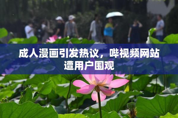 成人漫画引发热议，哔视频网站遭用户围观