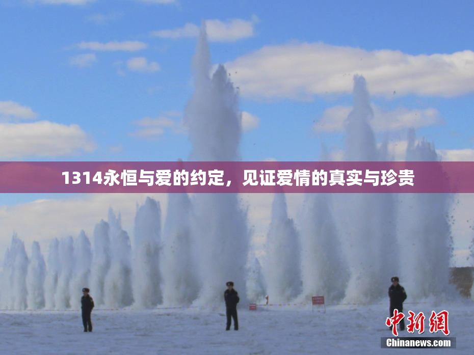 1314永恒与爱的约定，见证爱情的真实与珍贵