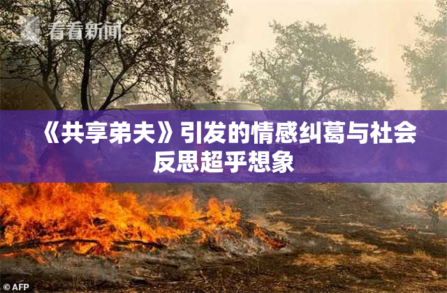 《共享弟夫》引发的情感纠葛与社会反思超乎想象