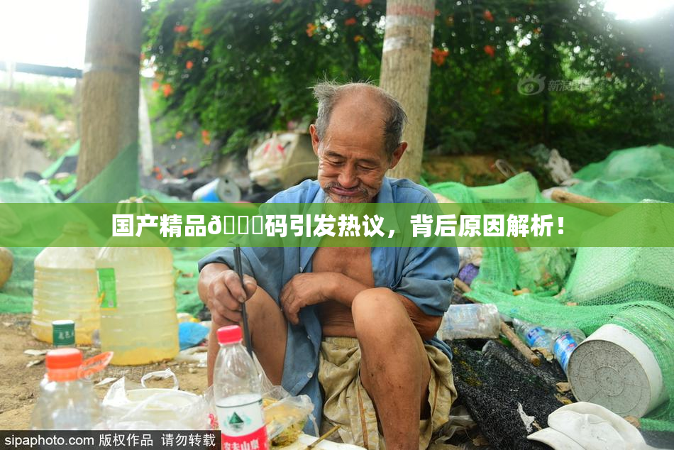 国产精品🈚码引发热议，背后原因解析！