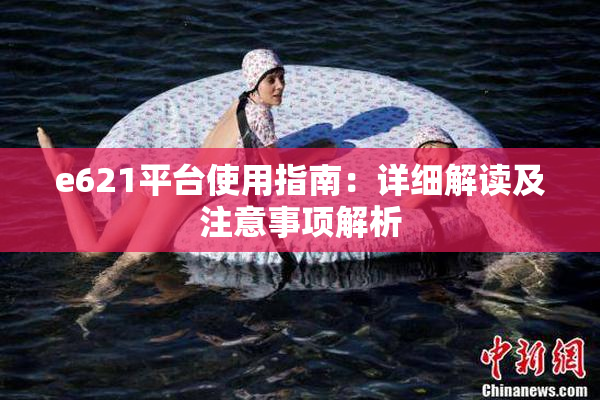 e621平台使用指南：详细解读及注意事项解析
