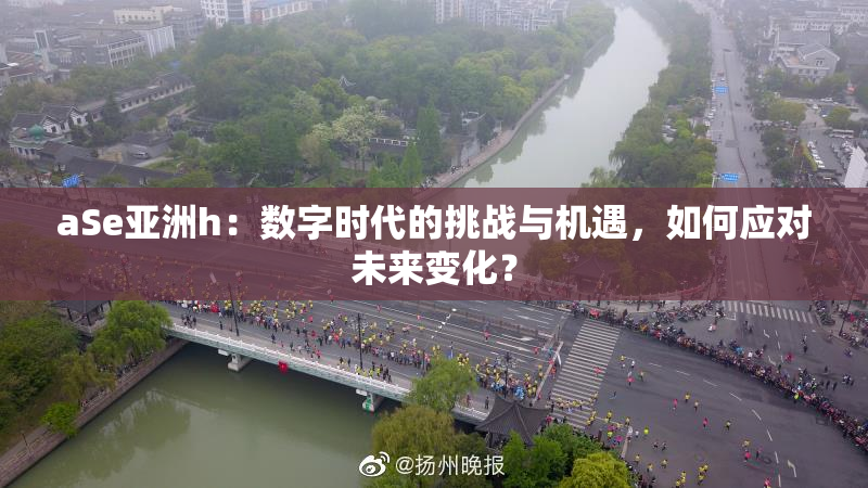 aSe亚洲h：数字时代的挑战与机遇，如何应对未来变化？