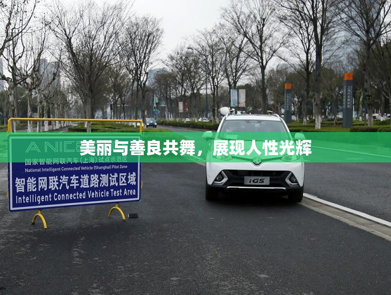 美丽与善良共舞，展现人性光辉