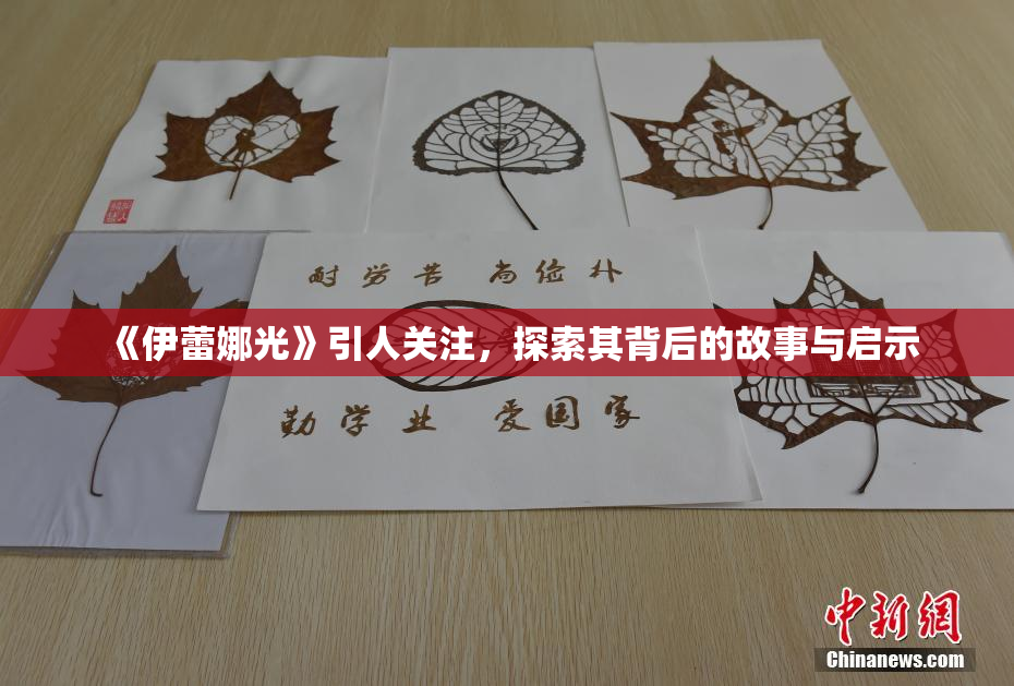 《伊蕾娜光》引人关注，探索其背后的故事与启示