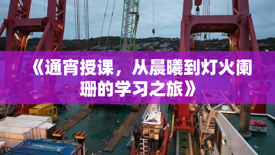 《通宵授课，从晨曦到灯火阑珊的学习之旅》