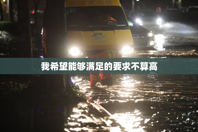 我希望能够满足的要求不算高
