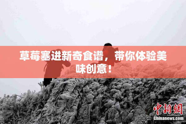 草莓塞进新奇食谱，带你体验美味创意！