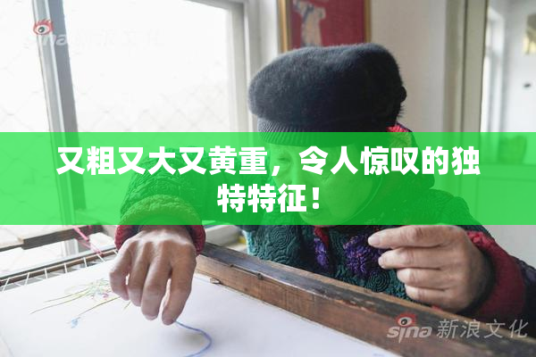 又粗又大又黄重，令人惊叹的独特特征！