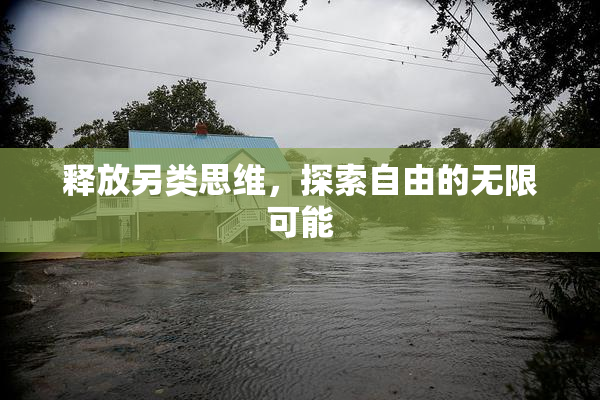 释放另类思维，探索自由的无限可能