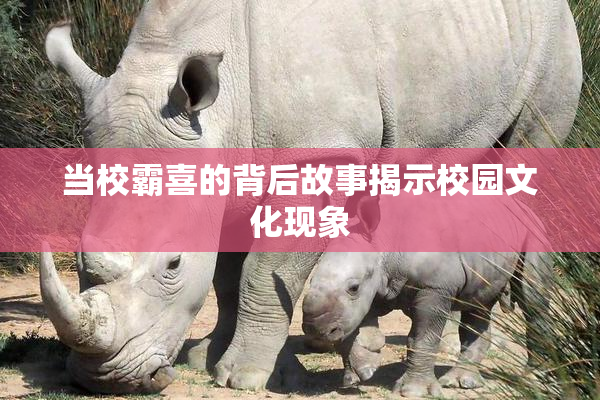 当校霸喜的背后故事揭示校园文化现象