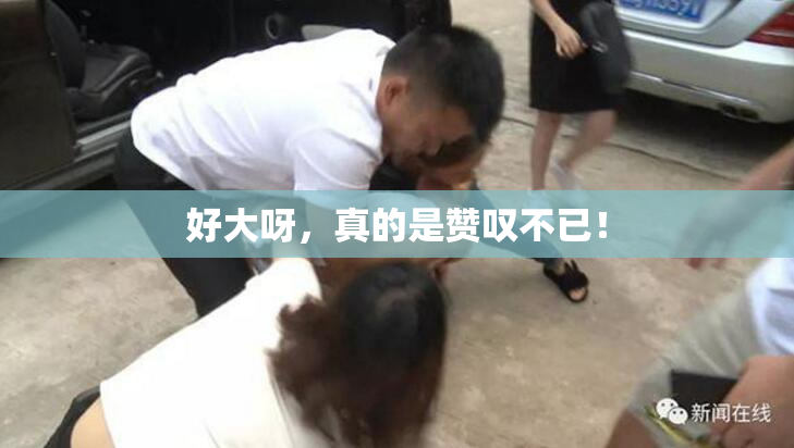 好大呀，真的是赞叹不已！