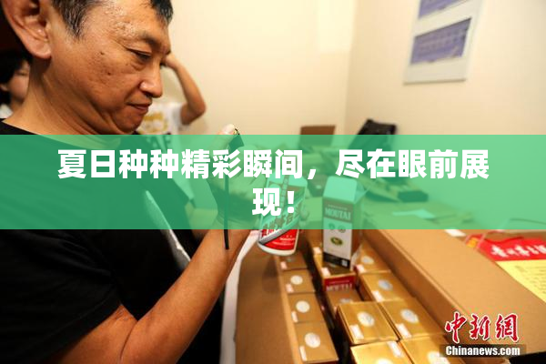 夏日种种精彩瞬间，尽在眼前展现！