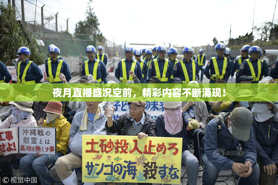 夜月直播盛况空前，精彩内容不断涌现！