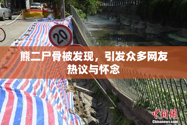 熊二尸骨被发现，引发众多网友热议与怀念