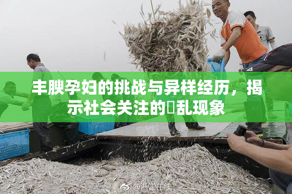 丰腴孕妇的挑战与异样经历，揭示社会关注的婬乱现象