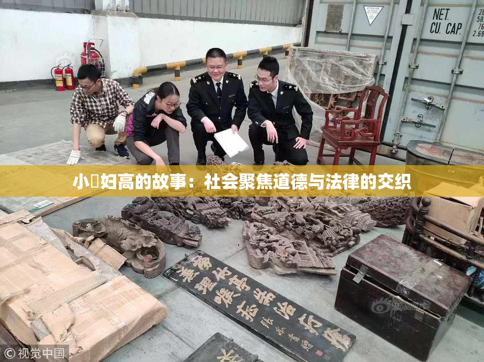 小婬妇高的故事：社会聚焦道德与法律的交织