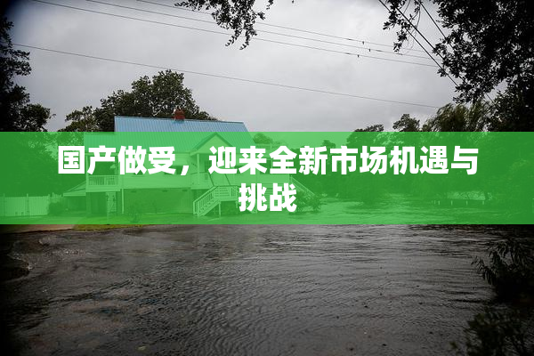 国产做受，迎来全新市场机遇与挑战