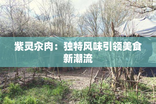 紫灵汆肉：独特风味引领美食新潮流