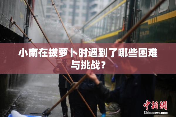 小南在拔萝卜时遇到了哪些困难与挑战？