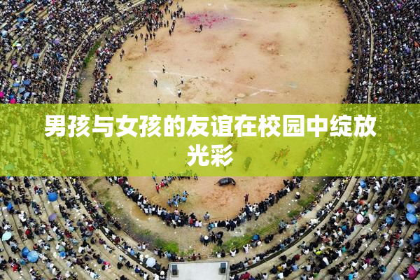男孩与女孩的友谊在校园中绽放光彩
