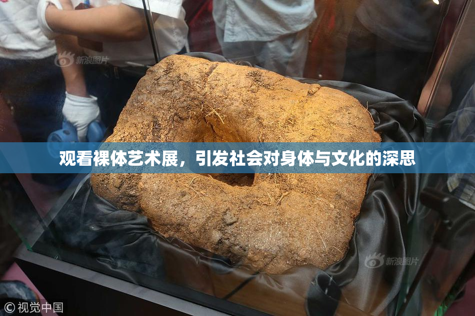 观看裸体艺术展，引发社会对身体与文化的深思